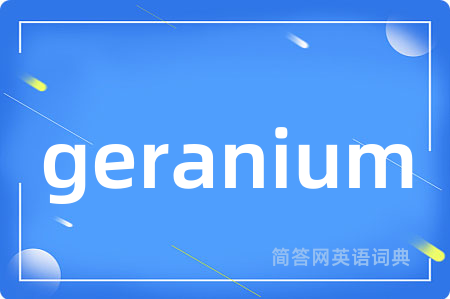 geranium