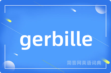 gerbille
