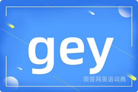 gey是什么意思,gey的中文翻译 gey