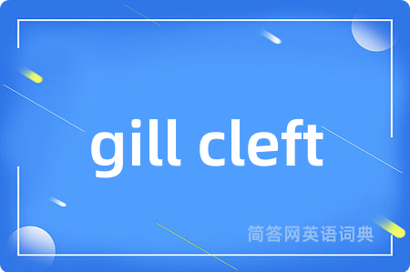 gill cleft