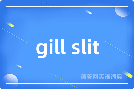 gill slit