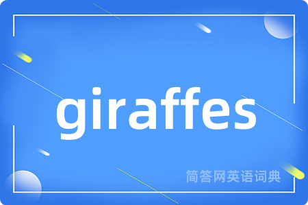 giraffes