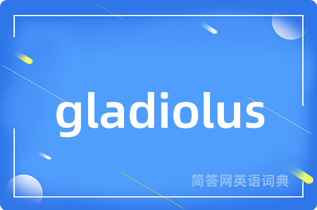 gladiolus