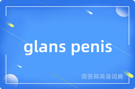 glans penis