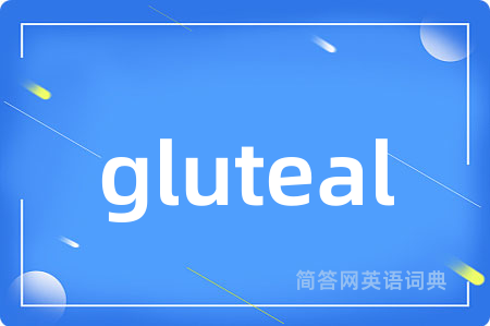 gluteal是什么意思,gluteal的中文翻译 gluteal
