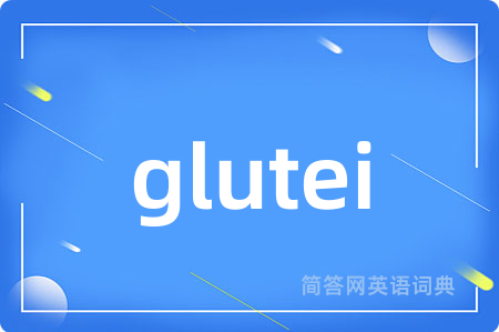glutei