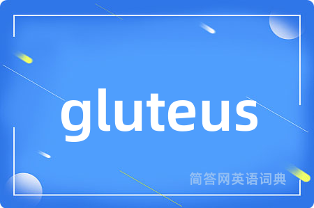 gluteus