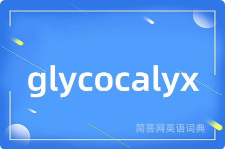 glycocalyx