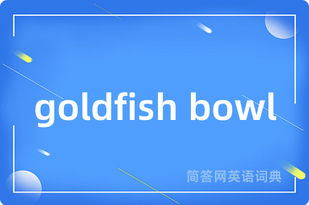goldfish bowl是什么意思,goldfish bowl的中文翻译 goldfish bowl
