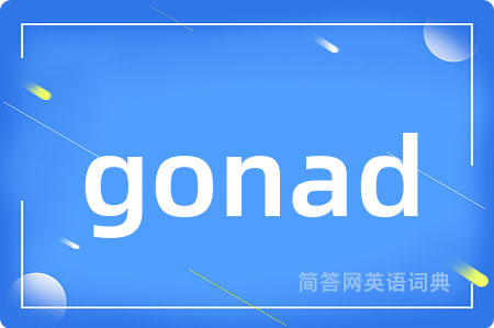gonad