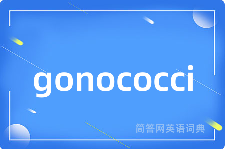 gonococci