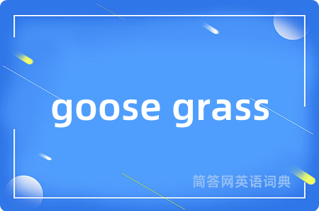 goose grass