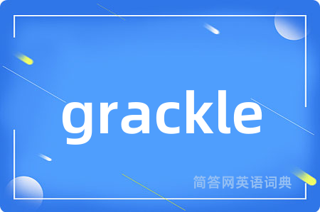 grackle