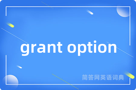 grant option