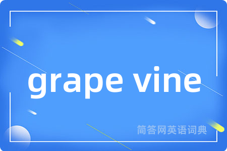 grape vine