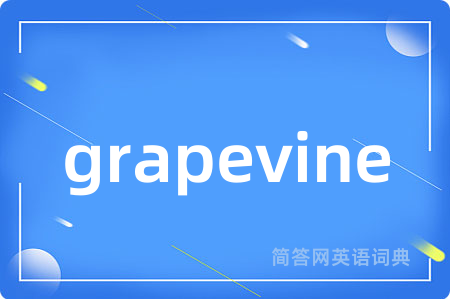 grapevine