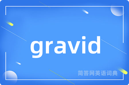 gravid