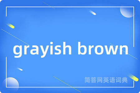 grayish brown是什么意思,grayish brown的中文翻译 grayish brown