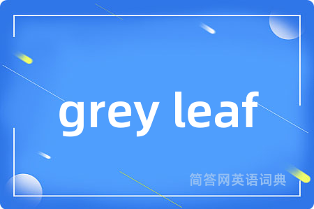 grey leaf