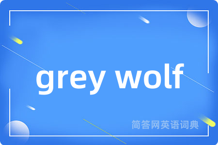 grey wolf