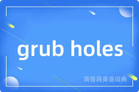 grub holes
