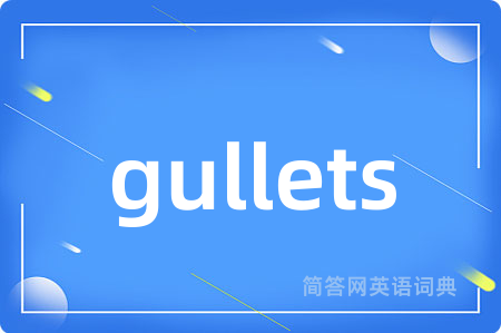 gullets是什么意思,gullets的中文翻译 gullets