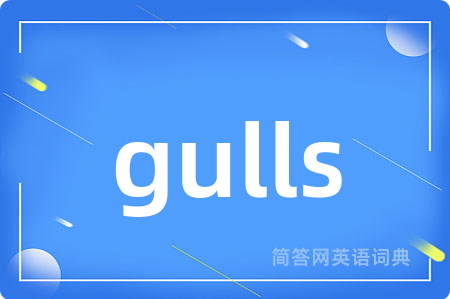 gulls是什么意思,gulls的中文翻译 gulls