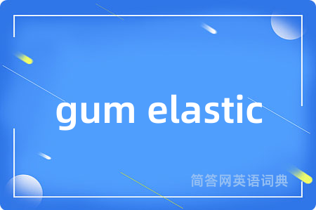 gum elastic