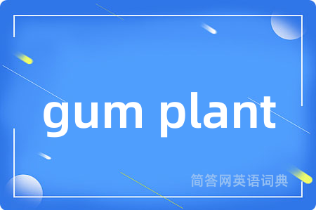 gum plant