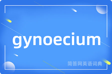 gynoecium