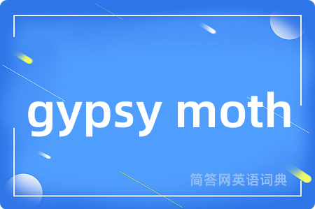 gypsy moth