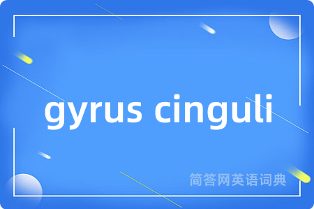 gyrus cinguli