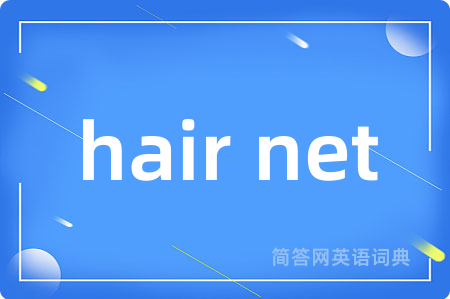 hair net