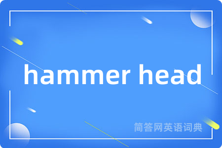 hammer head