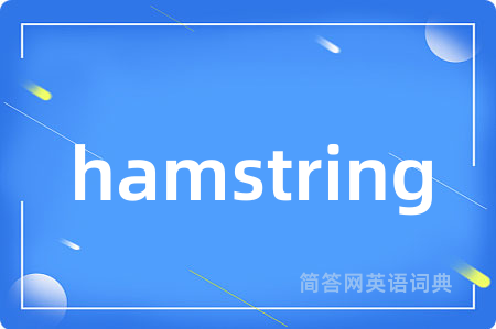 hamstring