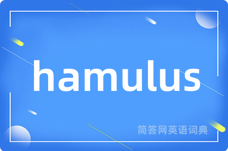 hamulus