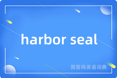 harbor seal