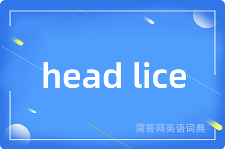 head lice