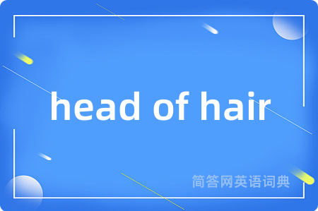 head of hair