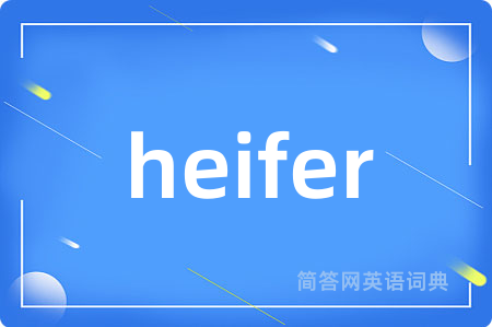 heifer
