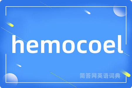 hemocoel