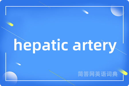 hepatic artery是什么意思,hepatic artery的中文翻译 hepatic artery