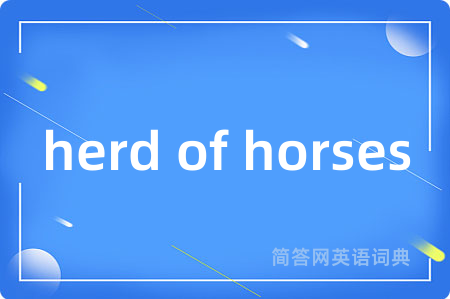 herd of horses