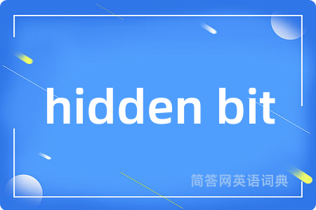 hidden bit
