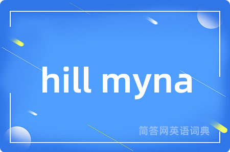 hill myna