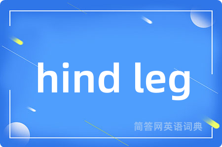 hind leg是什么意思,hind leg的中文翻译 hind leg