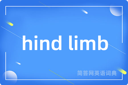 hind limb