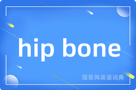 hip bone