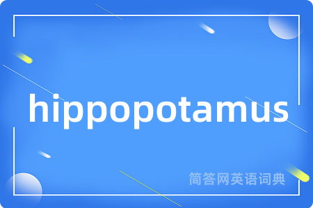 hippopotamus