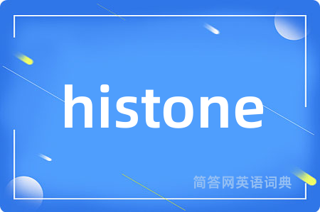 histone是什么意思,histone的中文翻译 histone